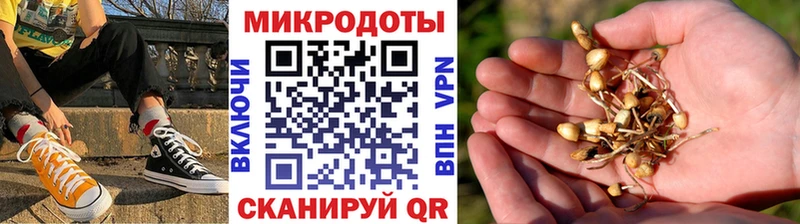 Псилоцибиновые грибы мухоморы Нижние Серги
